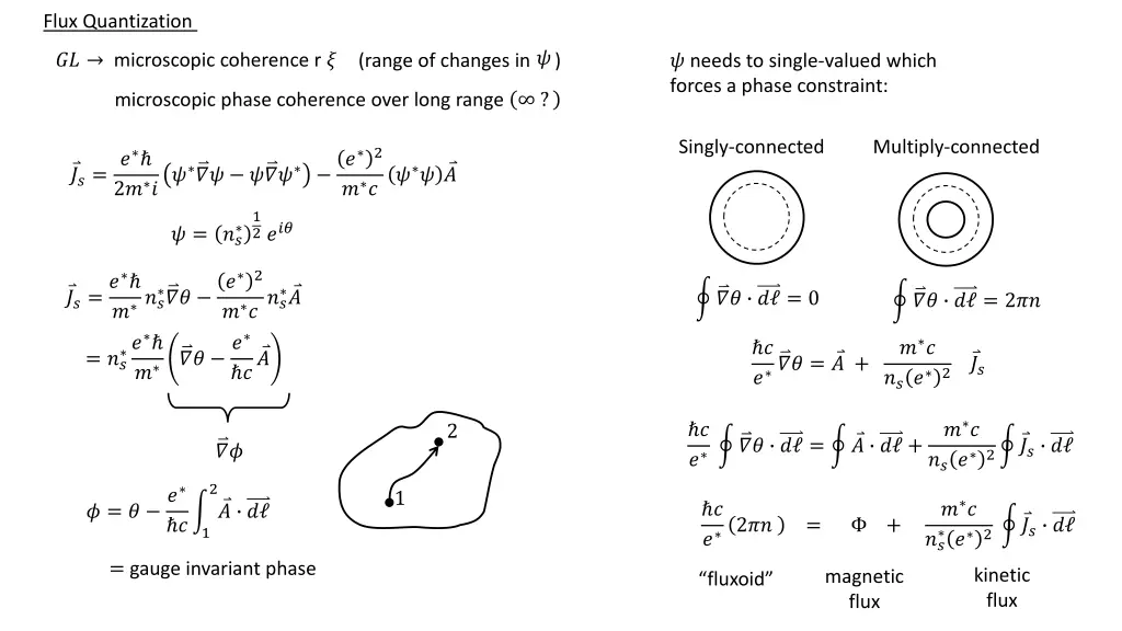 flux quantization