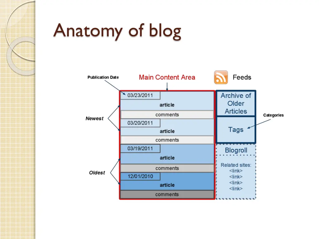 anatomy of blog