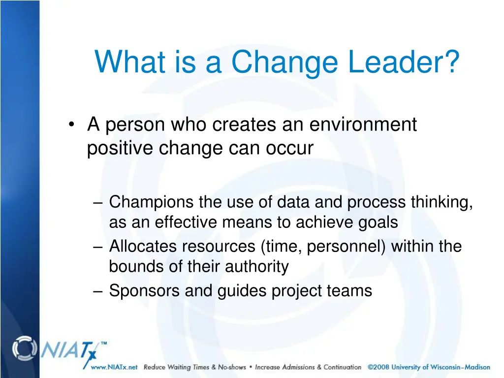 what is a change leader