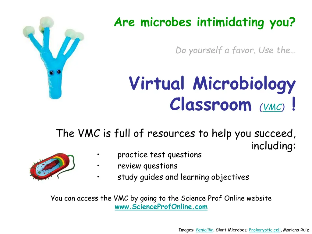 are microbes intimidating you