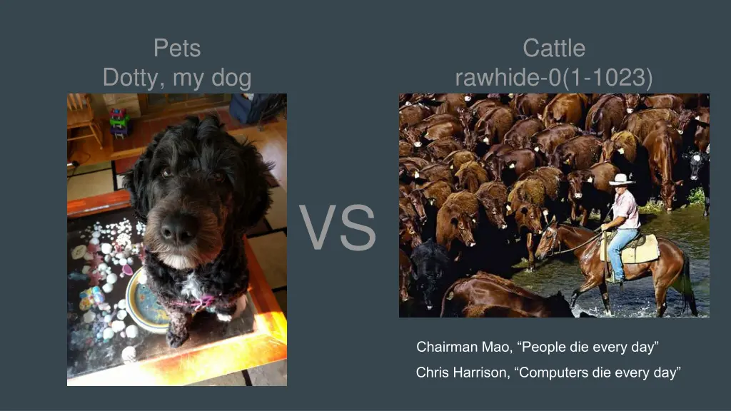 slide6