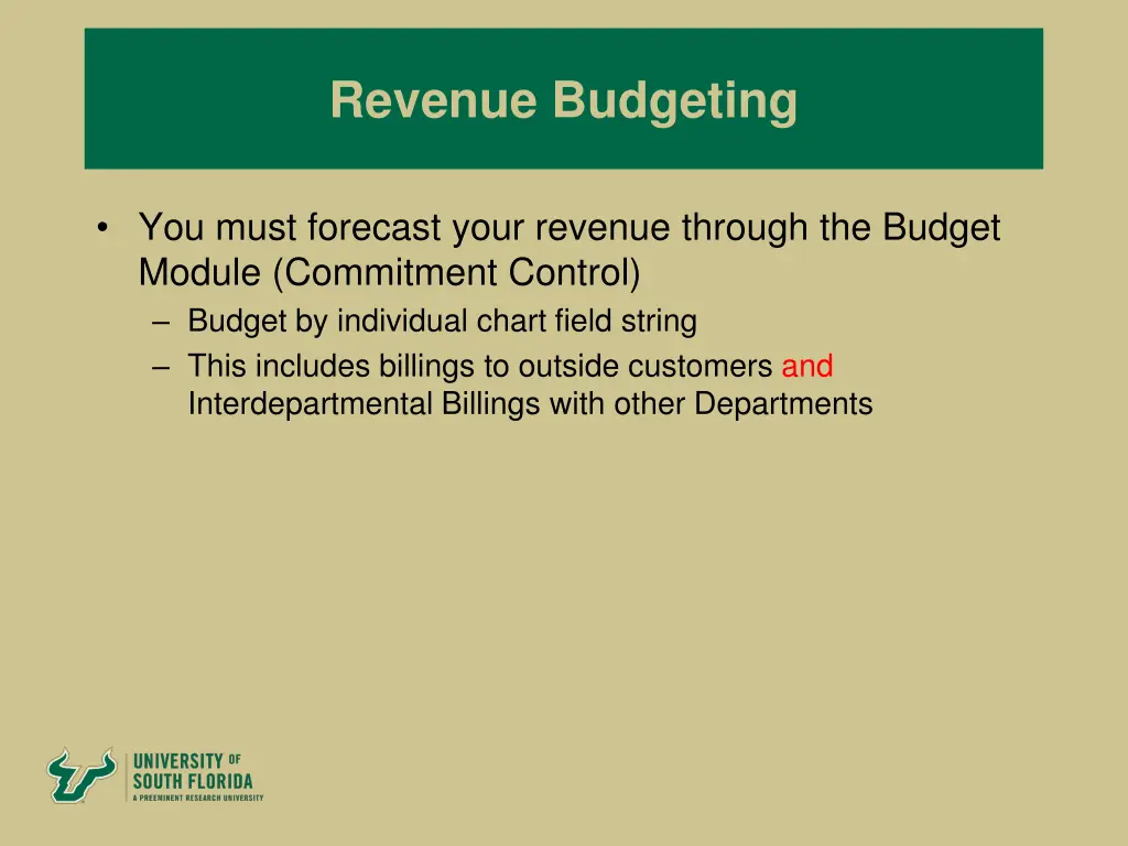 revenue budgeting
