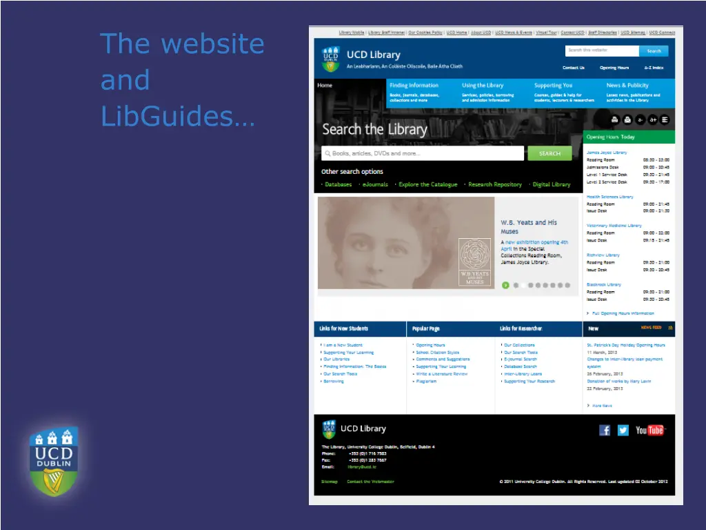 the website and libguides