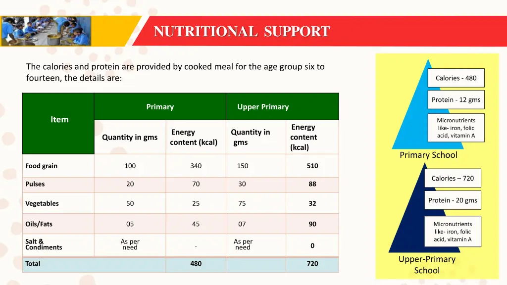 nutritional support 1