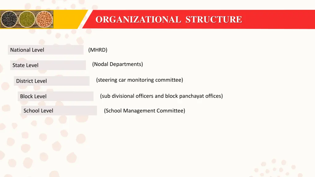 organizational structure