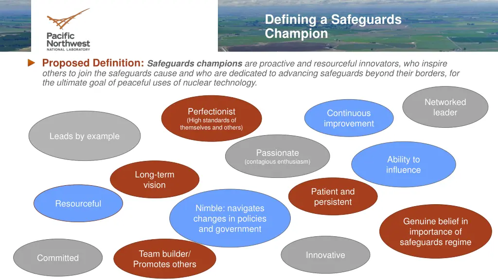 defining a safeguards champion