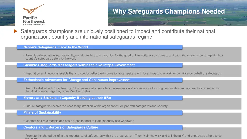 why safeguards champions needed