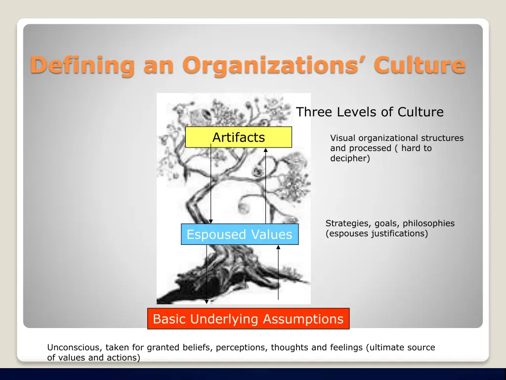 defining an organizations culture