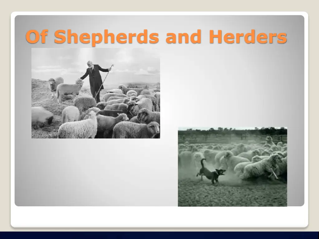 of shepherds and herders