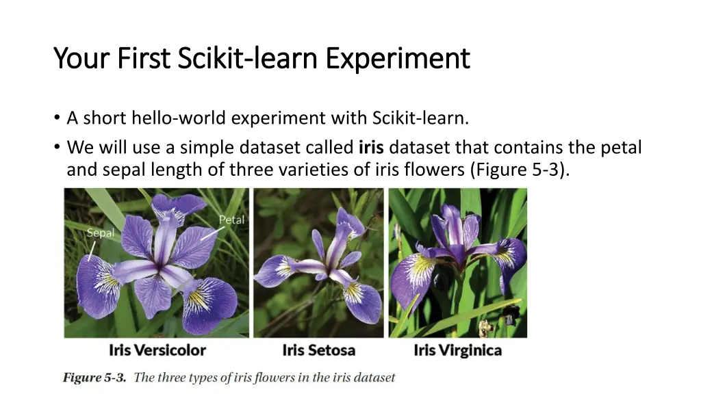 your first your first scikit