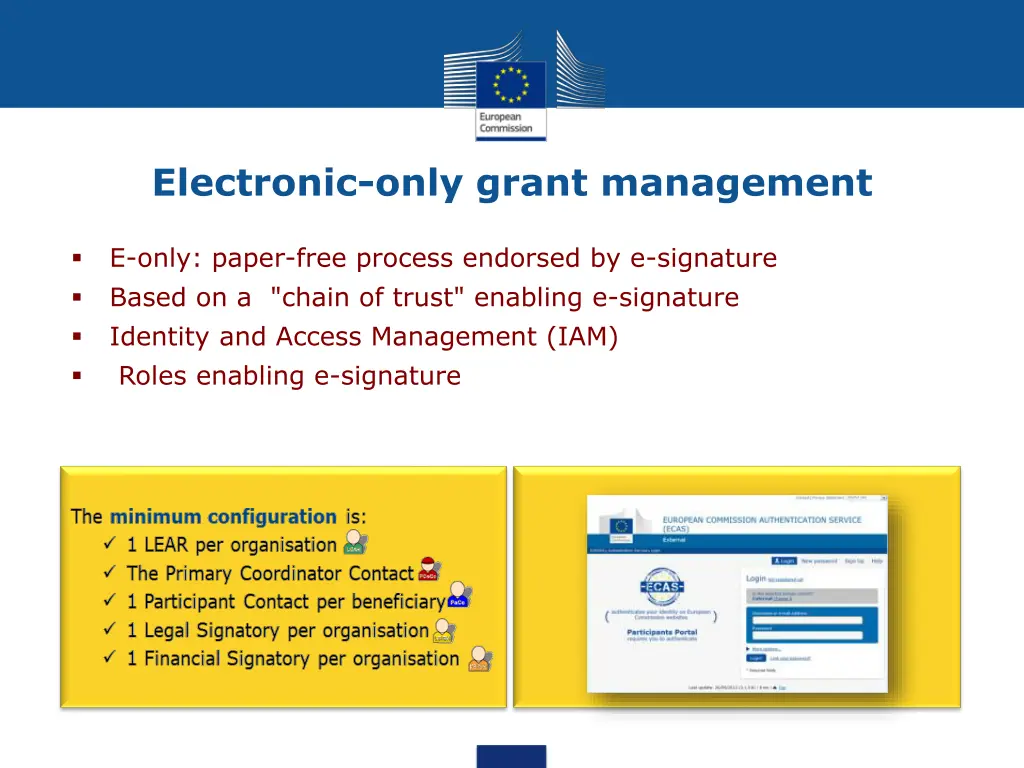 electronic only grant management