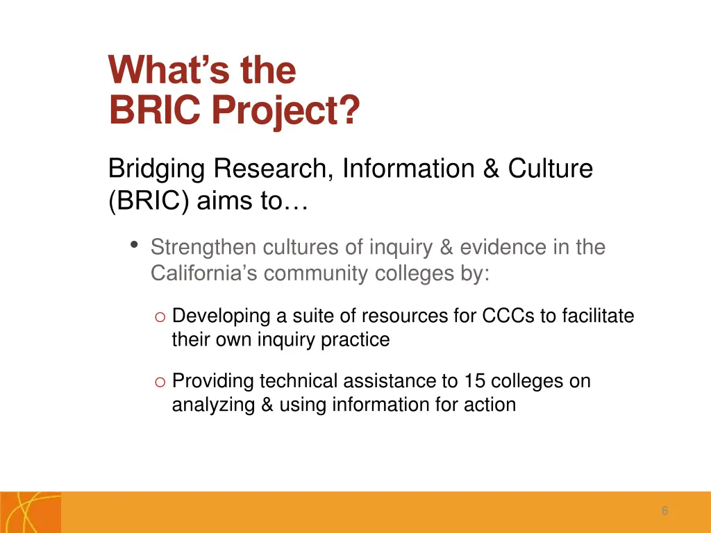 what s the bric project