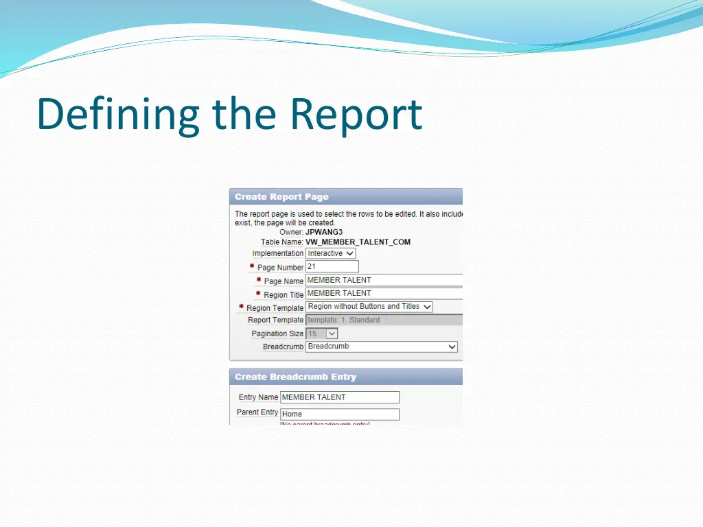 defining the report 1