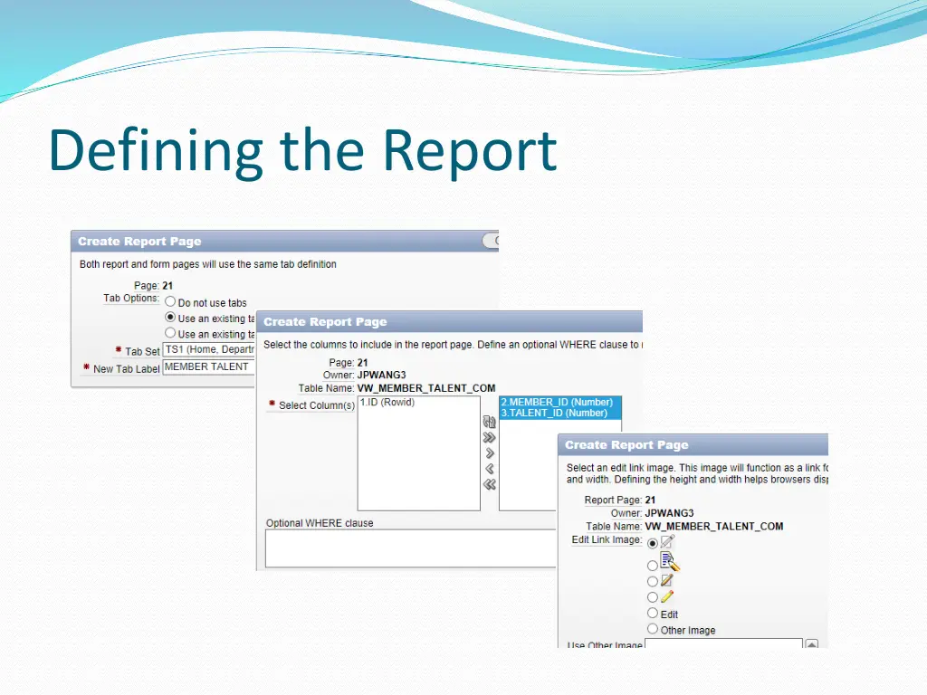 defining the report 3