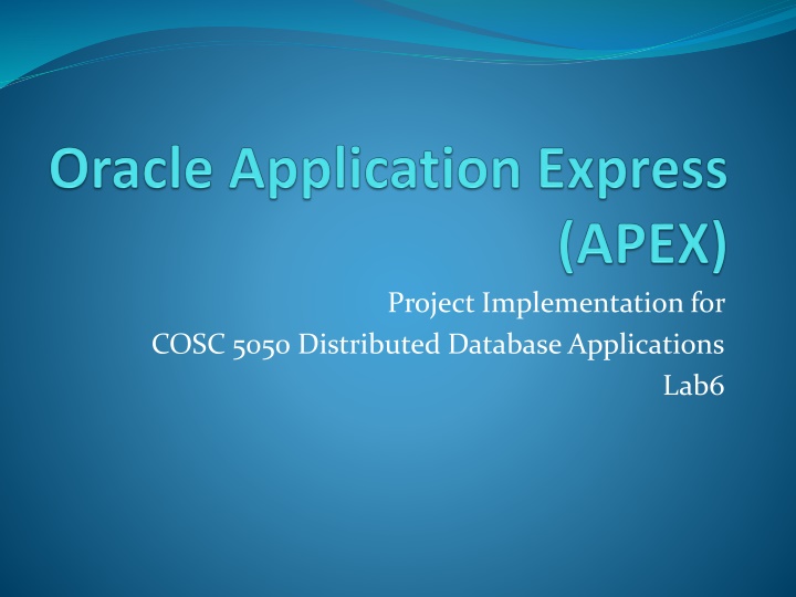 project implementation for