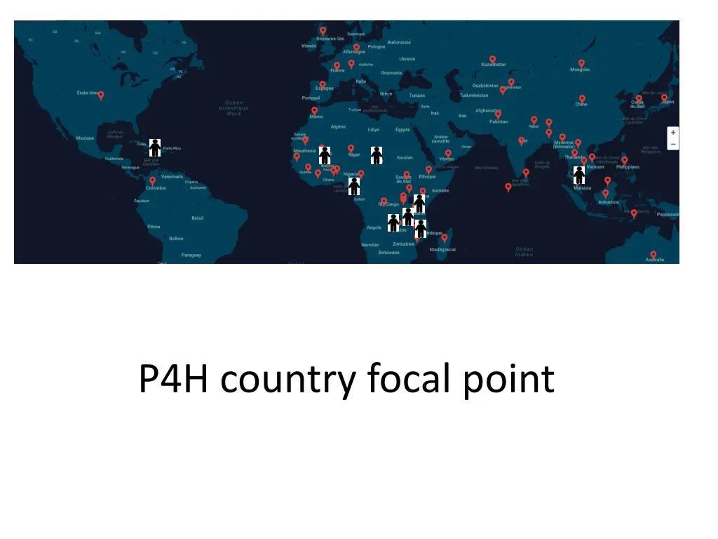 p4h focal point