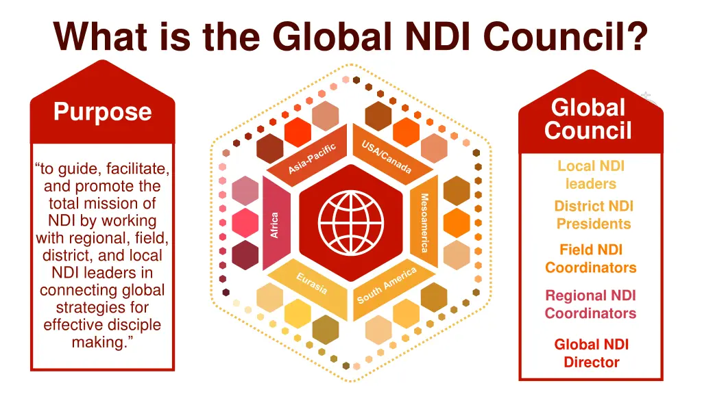 what is the global ndi council