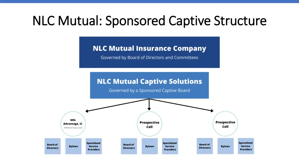 nlc mutual sponsored captive structure nlc mutual