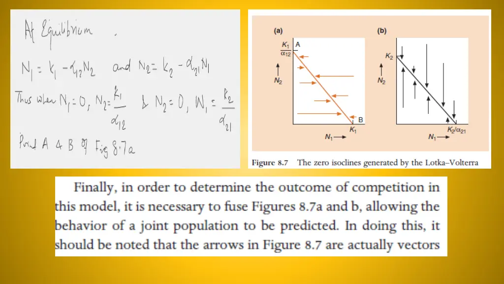 slide7