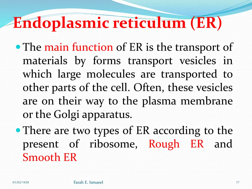 endoplasmic reticulum er