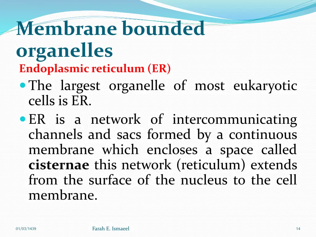 membrane bounded organelles endoplasmic reticulum