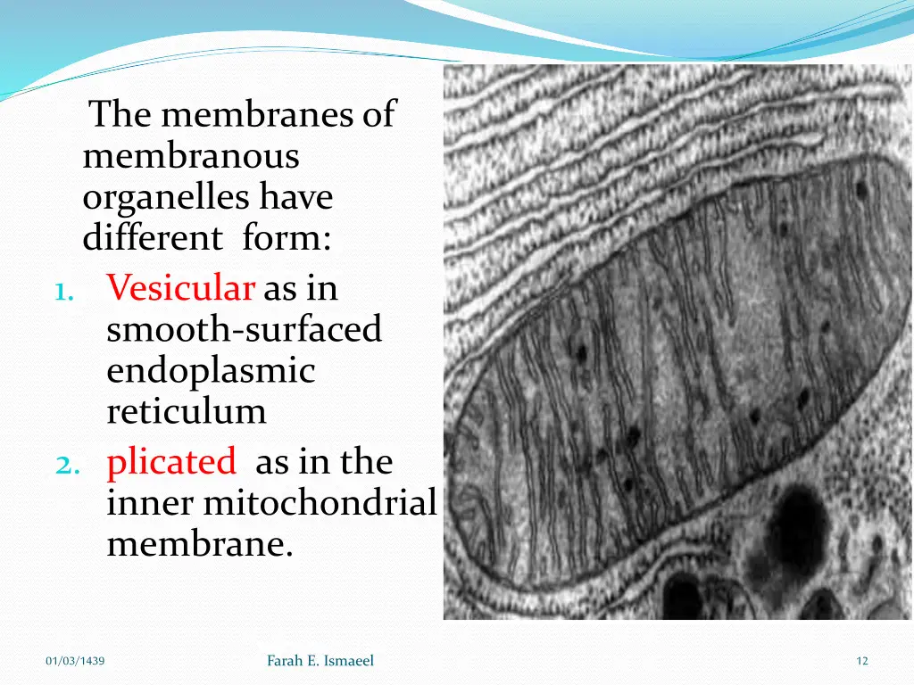 the membranes of membranous organelles have