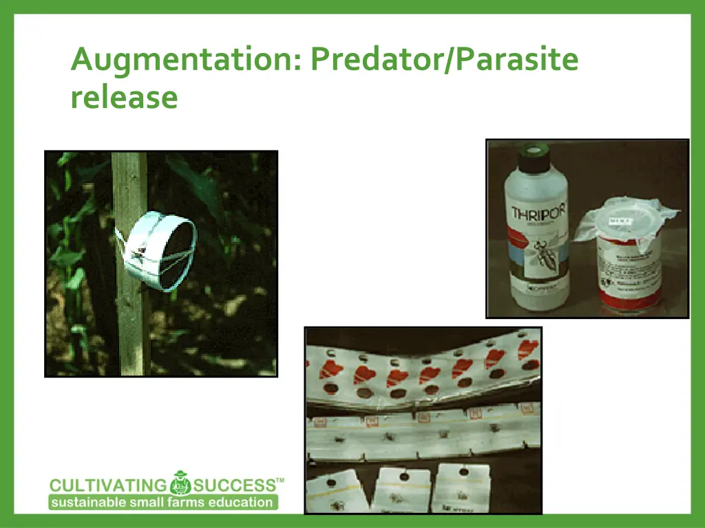 augmentation predator parasite release