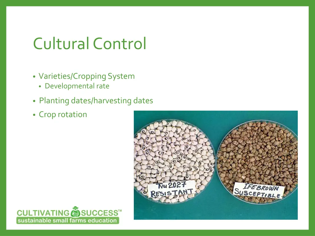 cultural control
