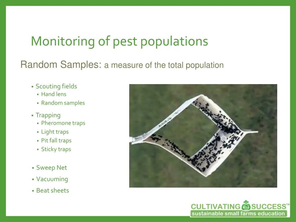 monitoring of pest populations
