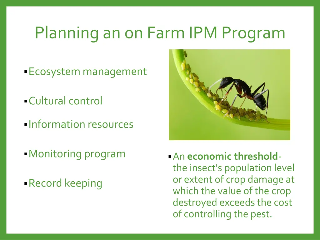 planning an on farm ipm program