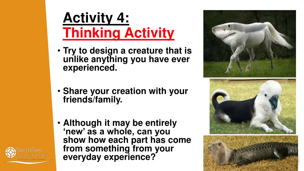 activity 4 thinking activity try to design