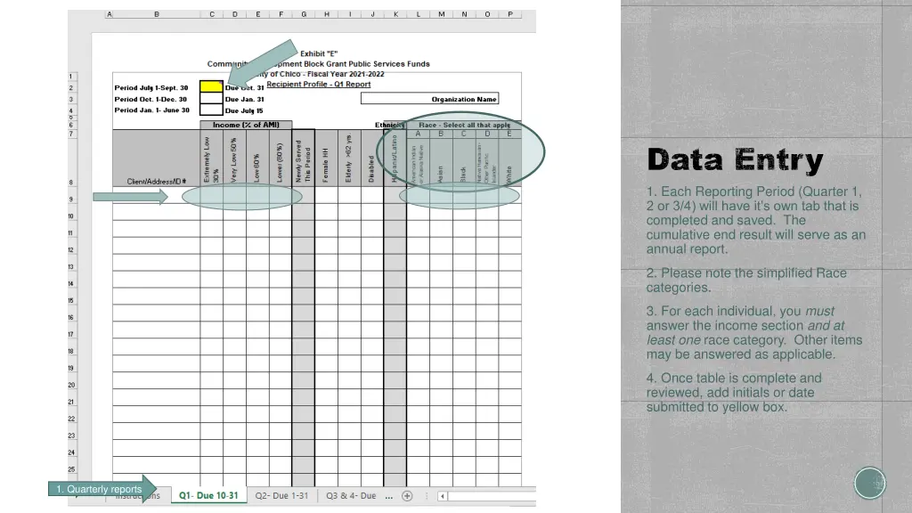 data entry 1 each reporting period quarter