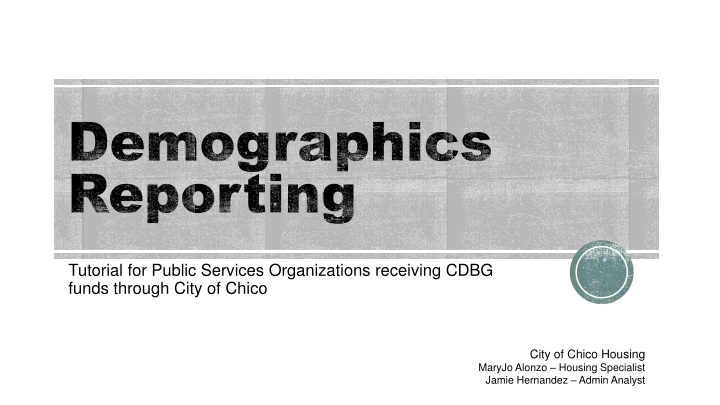demographics reporting