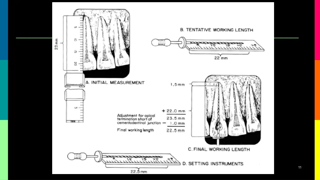 slide11