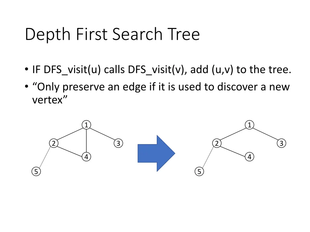depth first search tree