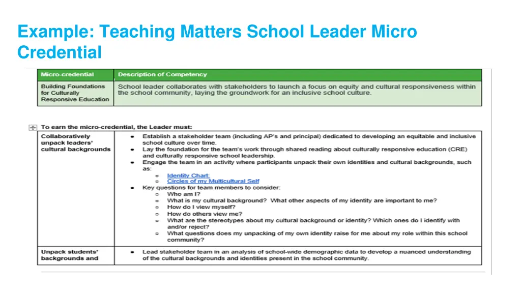 example teaching matters school leader micro