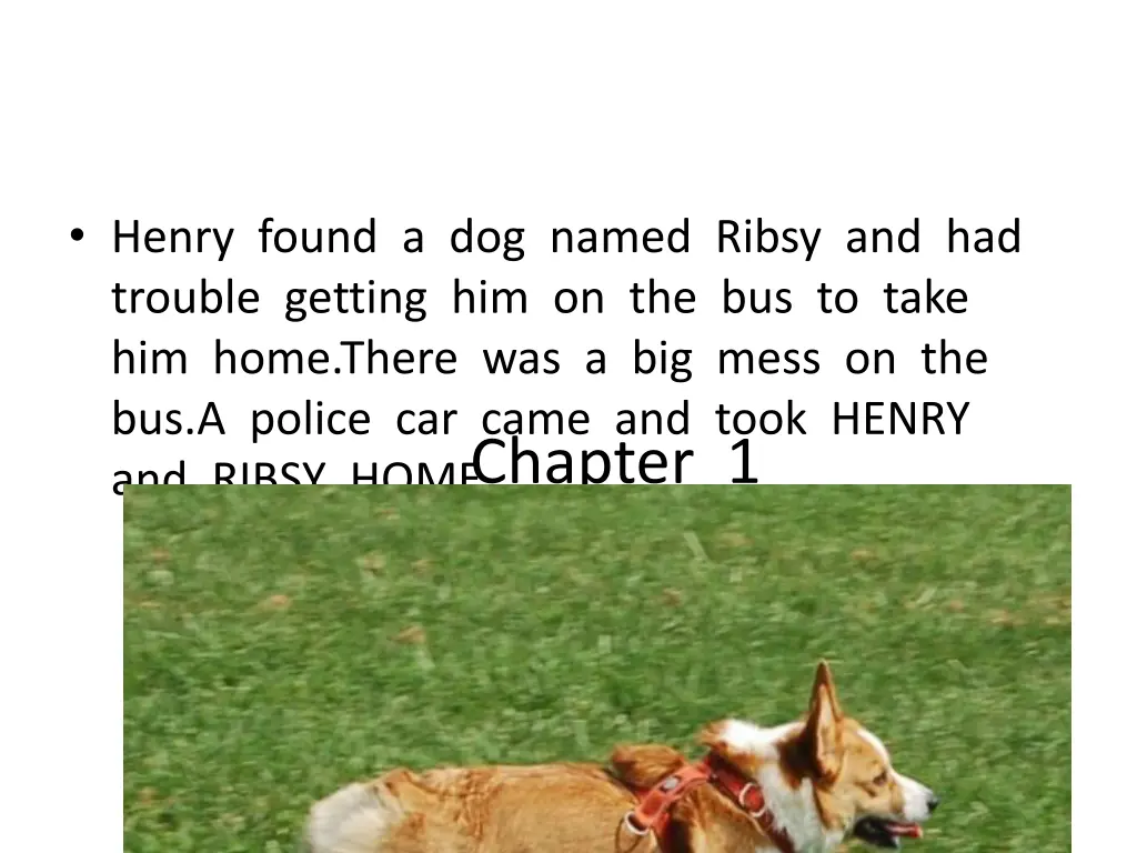 henry found a dog named ribsy and had trouble