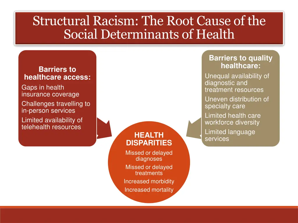 structural racism the root cause of the social 1