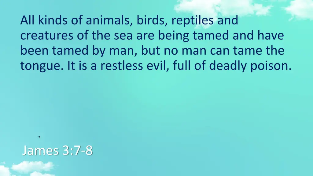 all kinds of animals birds reptiles and creatures