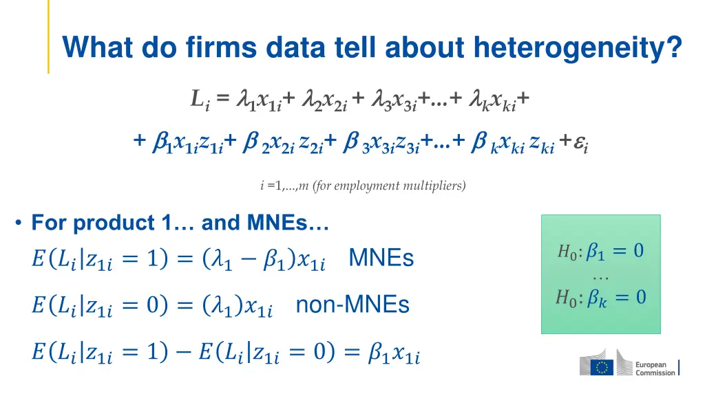 what do firms data tell about heterogeneity