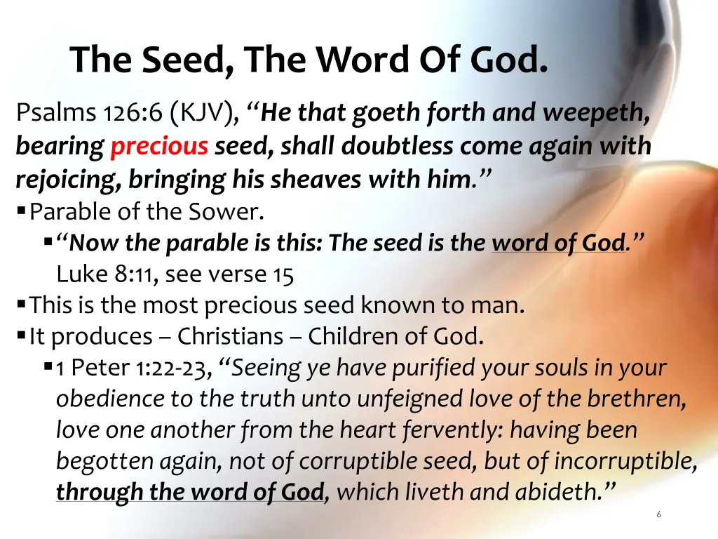 the seed the word of god