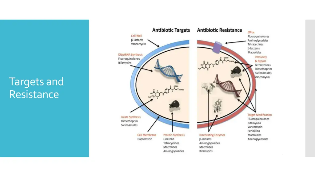 targets and resistance