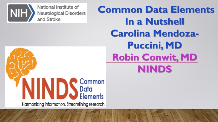 common data elements in a nutshell carolina