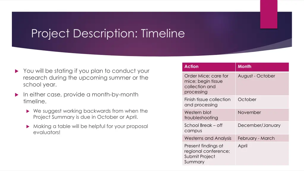 project description timeline