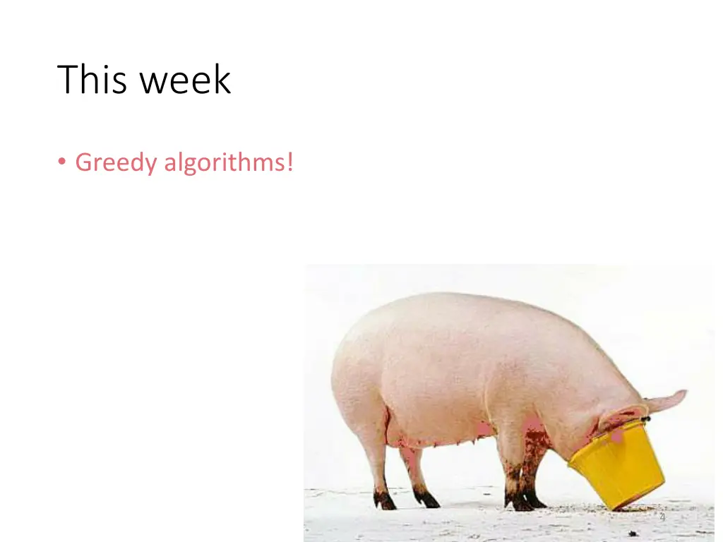 this week