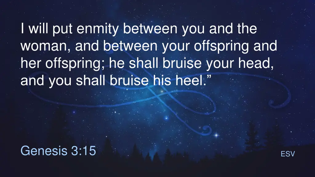 i will put enmity between you and the woman