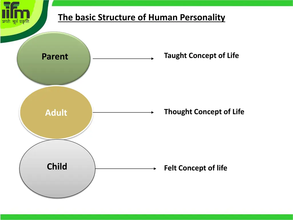 the basic structure of human personality