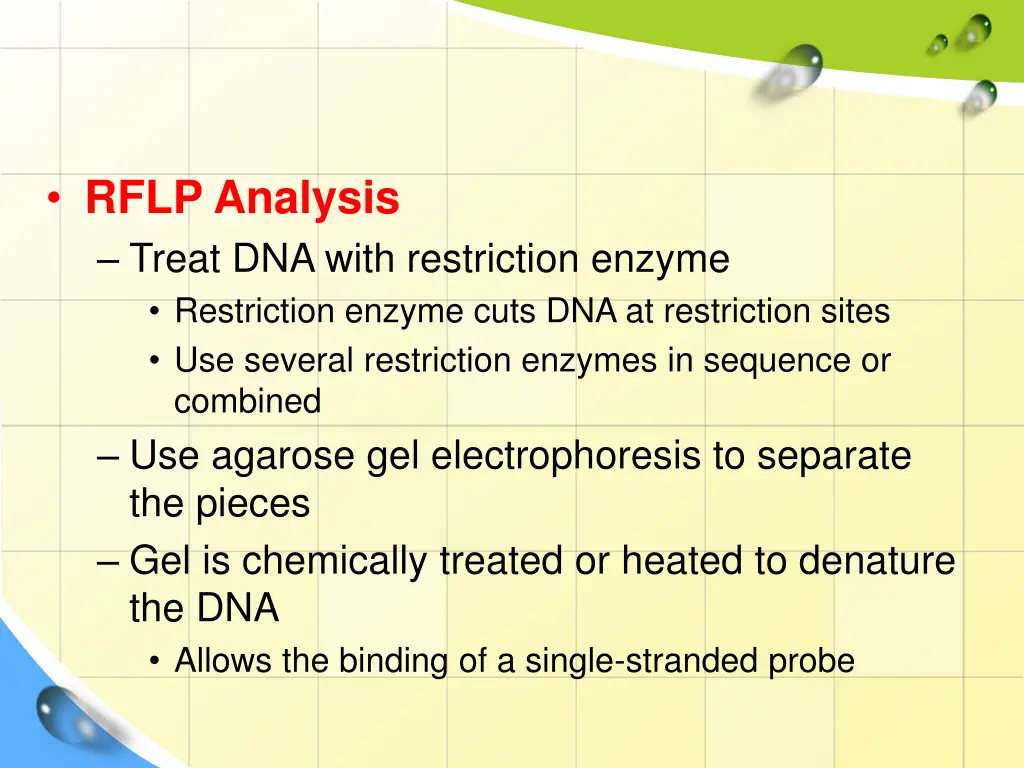 rflp analysis treat dna with restriction enzyme