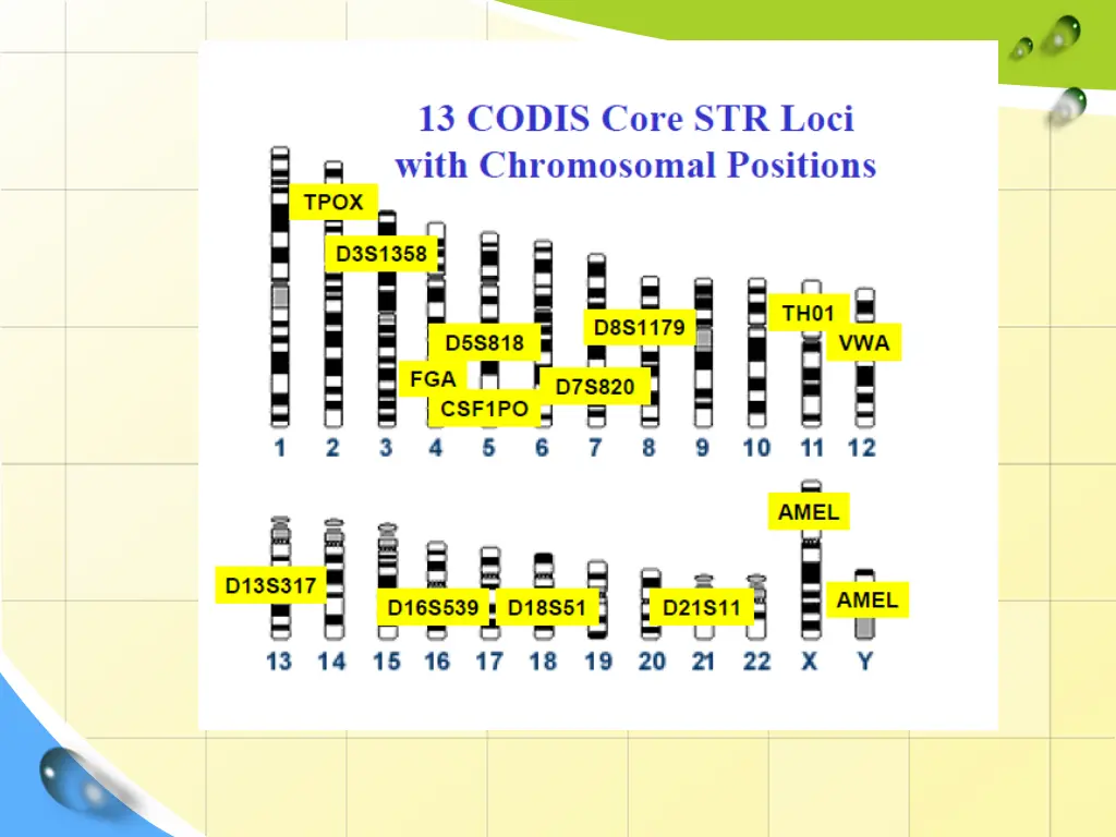 slide14
