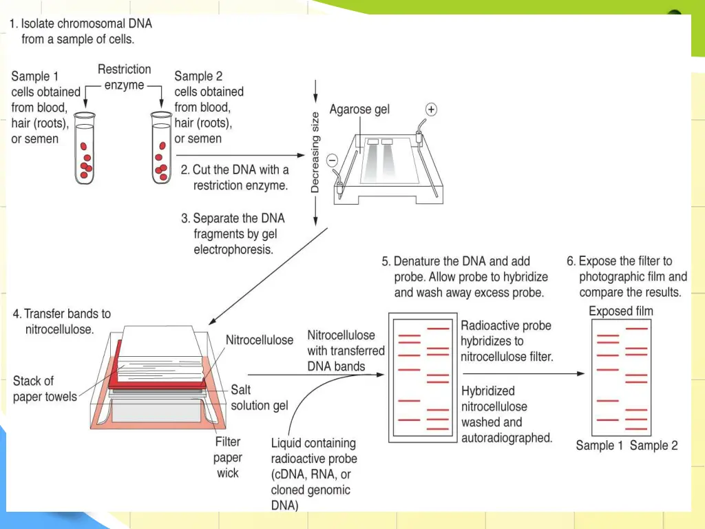 slide17